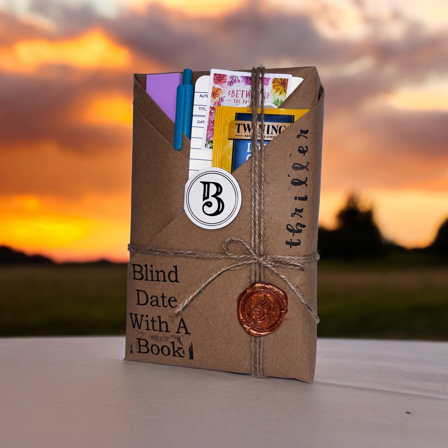 Blind Date With A Book - Thriller Edition